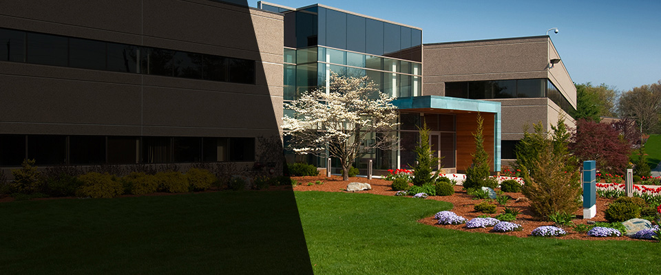 Elmhurst Landscapers