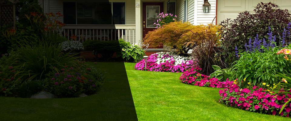 Elmhurst Landscapers