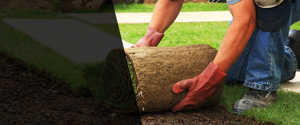 Elmhurst Landscapers